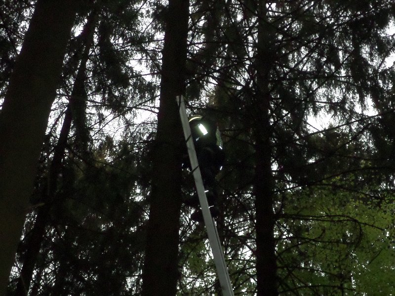 Maibaum_2018 (15)
